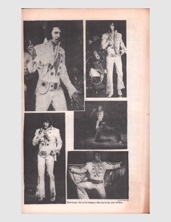 Elvis News Service Weekly Issue No. 70